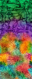 multicolor fabric with floral design